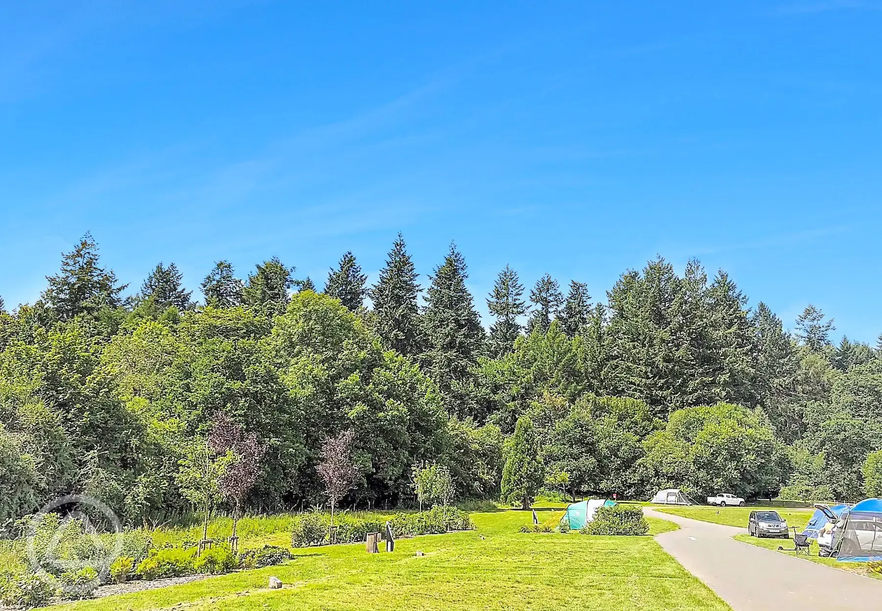 Electric grass 8m x 8m tent pitches with 16 amp hook ups