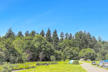 Electric grass 8m x 8m tent pitches with 16 amp hook ups