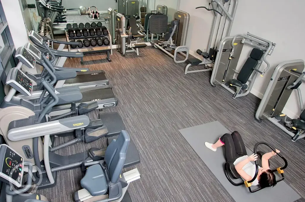 Gym with cardio machines, weight machines and free weights