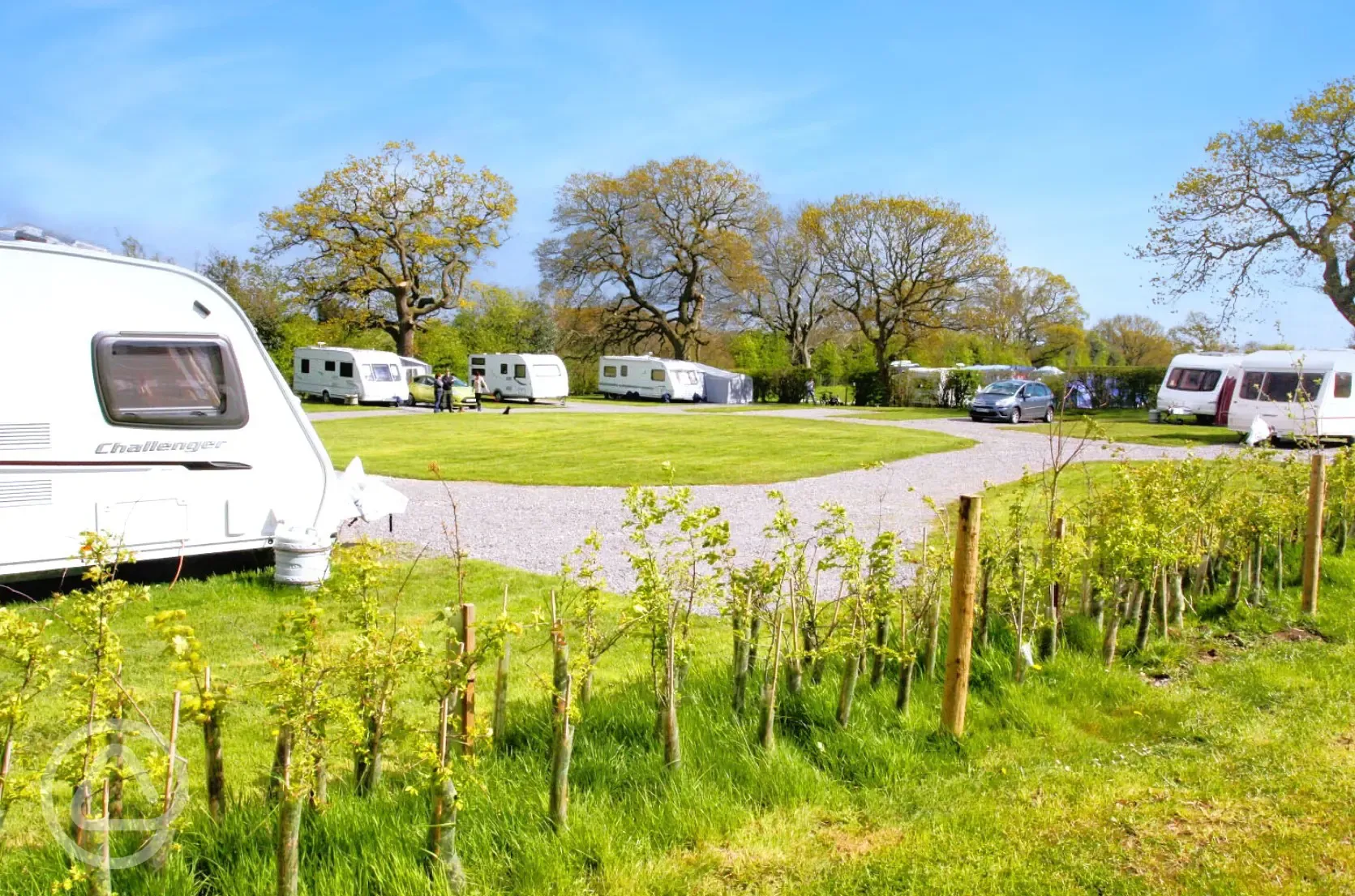 Electric hardstanding pitches with 16 amp hook ups