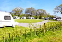 Electric hardstanding pitches with 16 amp hook ups