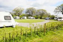Electric hardstanding pitches