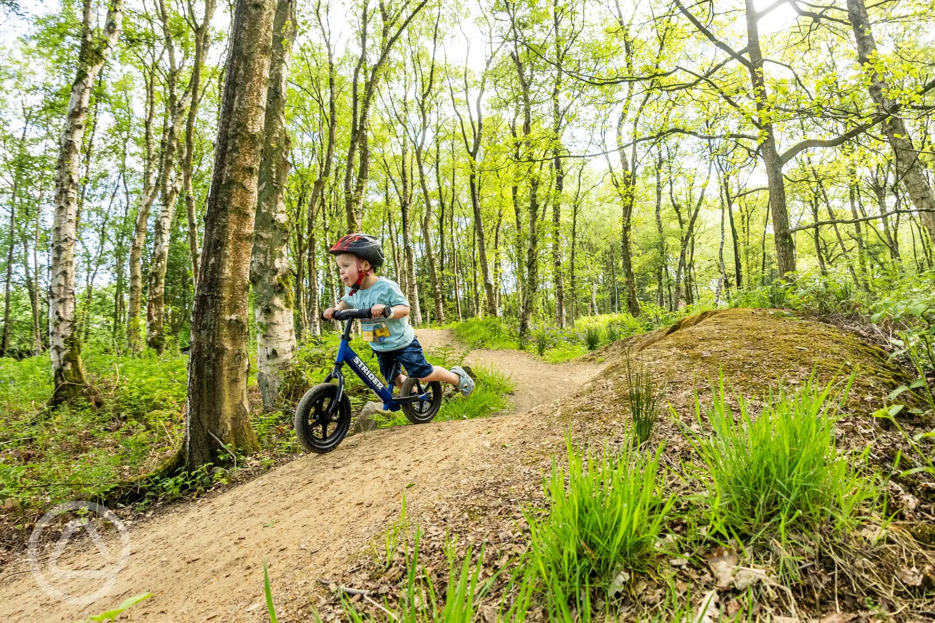 Pump track Pump track