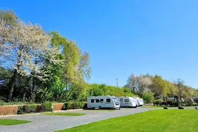 Moss Wood Caravan Park