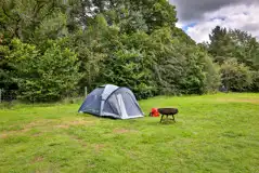 Tent on non electric grass pitches with a fire pit (available to hire) Tent on non electric grass pitches with a fire pit (available to hire)