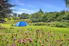 Non electric grass pitches for tents, roof tents and campervans (under 5.5m) Non electric grass pitches for tents, roof tents and campervans (under 5.5m)