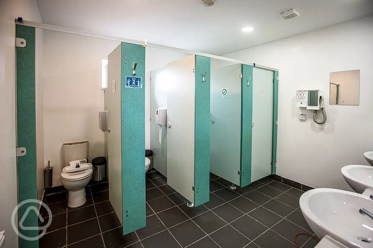Toilets with access to a hair dryer