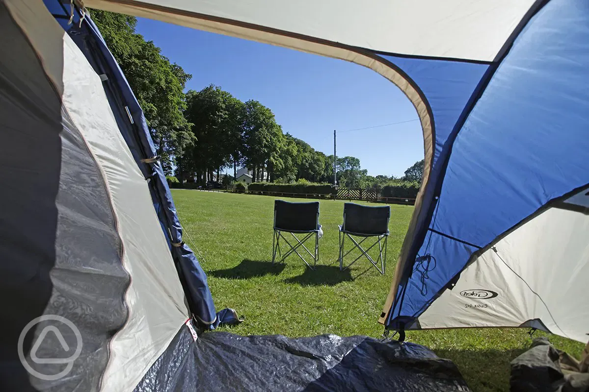 View from tent