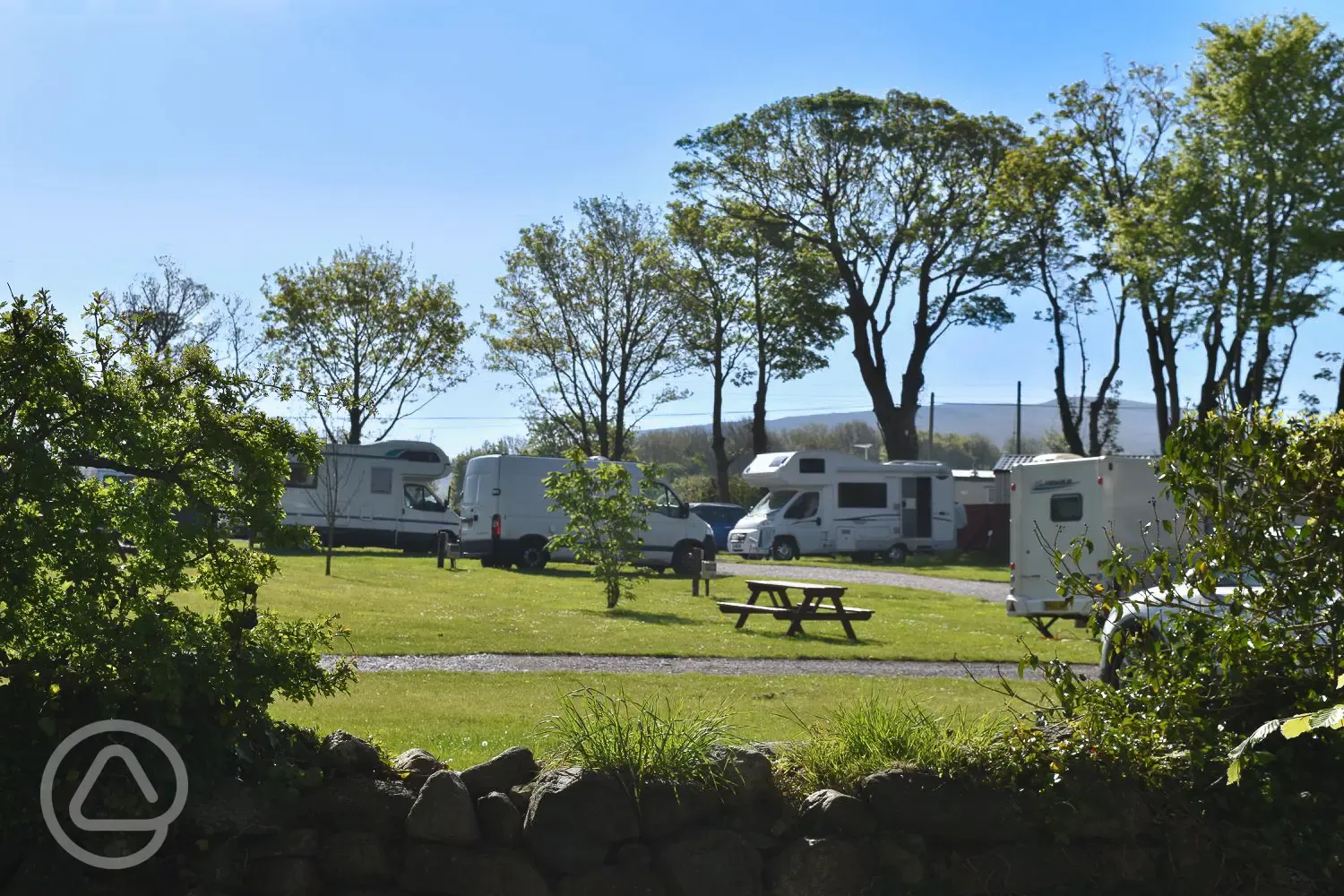 Fully serviced grass pitches and surrounding trees