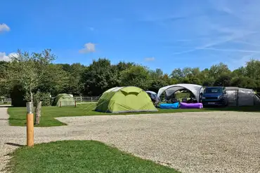 Grass pitches in the main area of the site