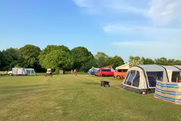 Tents and campervans on grass pitches
