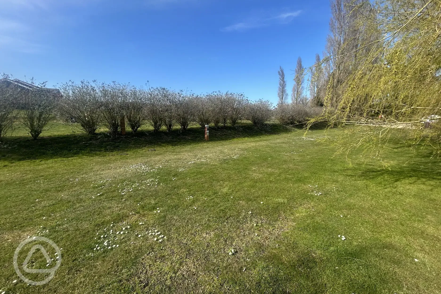 Electric moorhen grass tent pitches with 16 amp hooks ups