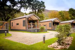 Forest glamping pods