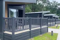Forest glamping pods Forest glamping pods