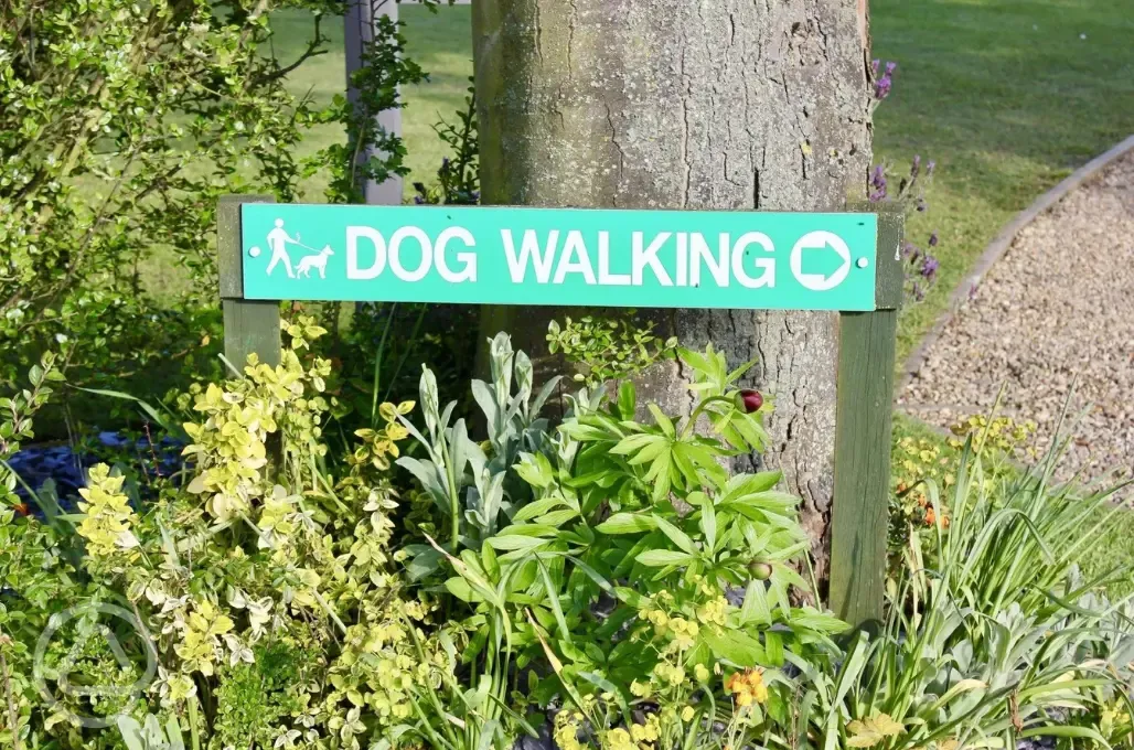Dog walking area