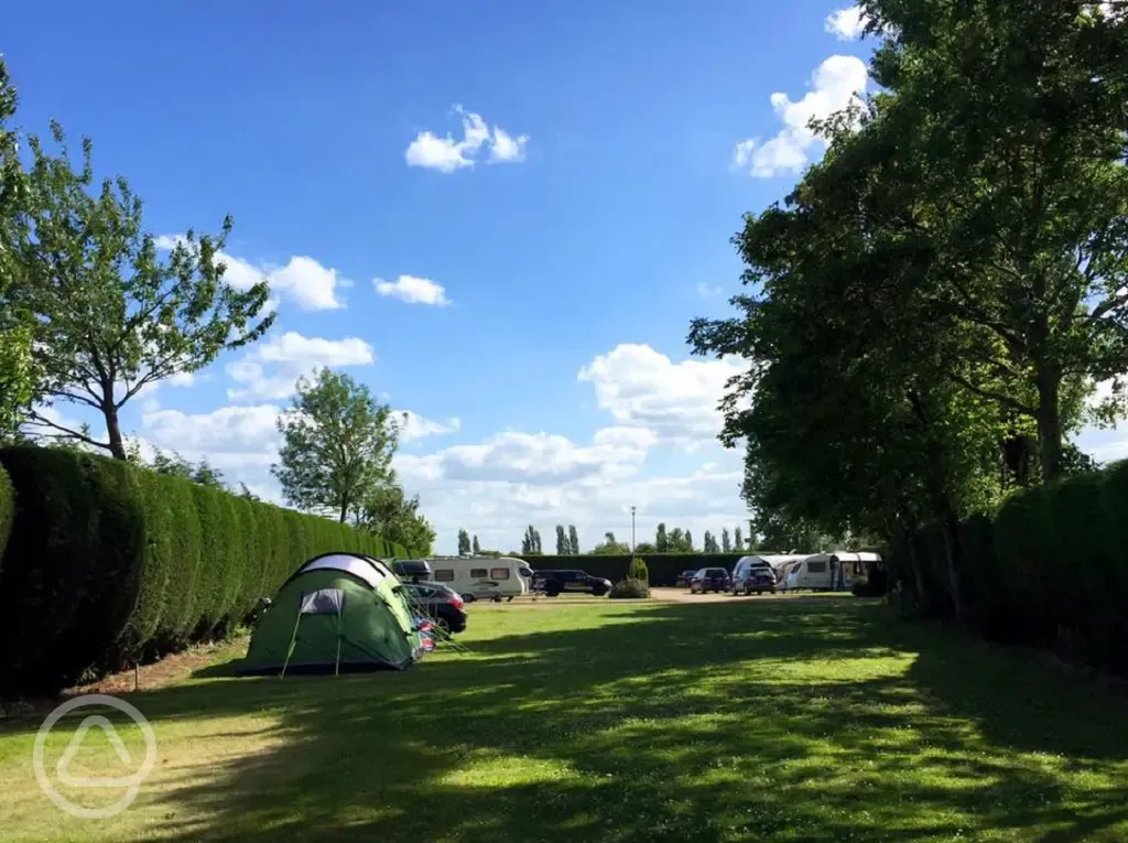 Electric grass pitches