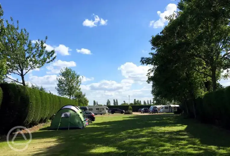 Electric grass pitches