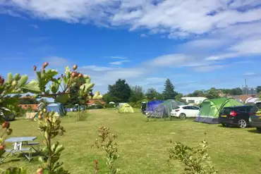 Pitches on our campsite
