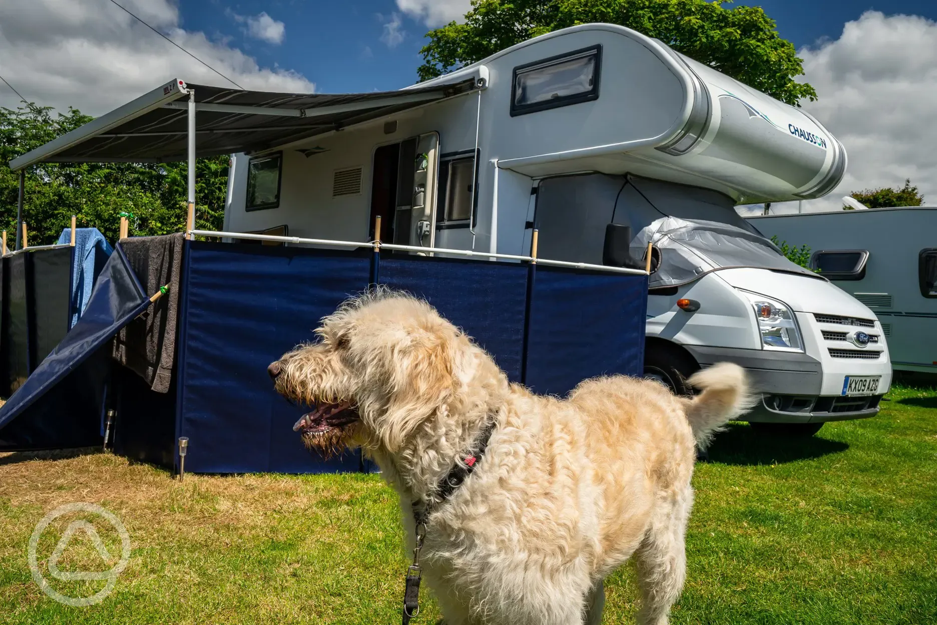 Dog friendly Tregarton Park