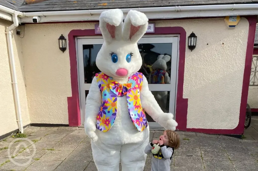 Easter bunny at Harlyn Sands
