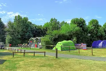 Grass pitches and reception