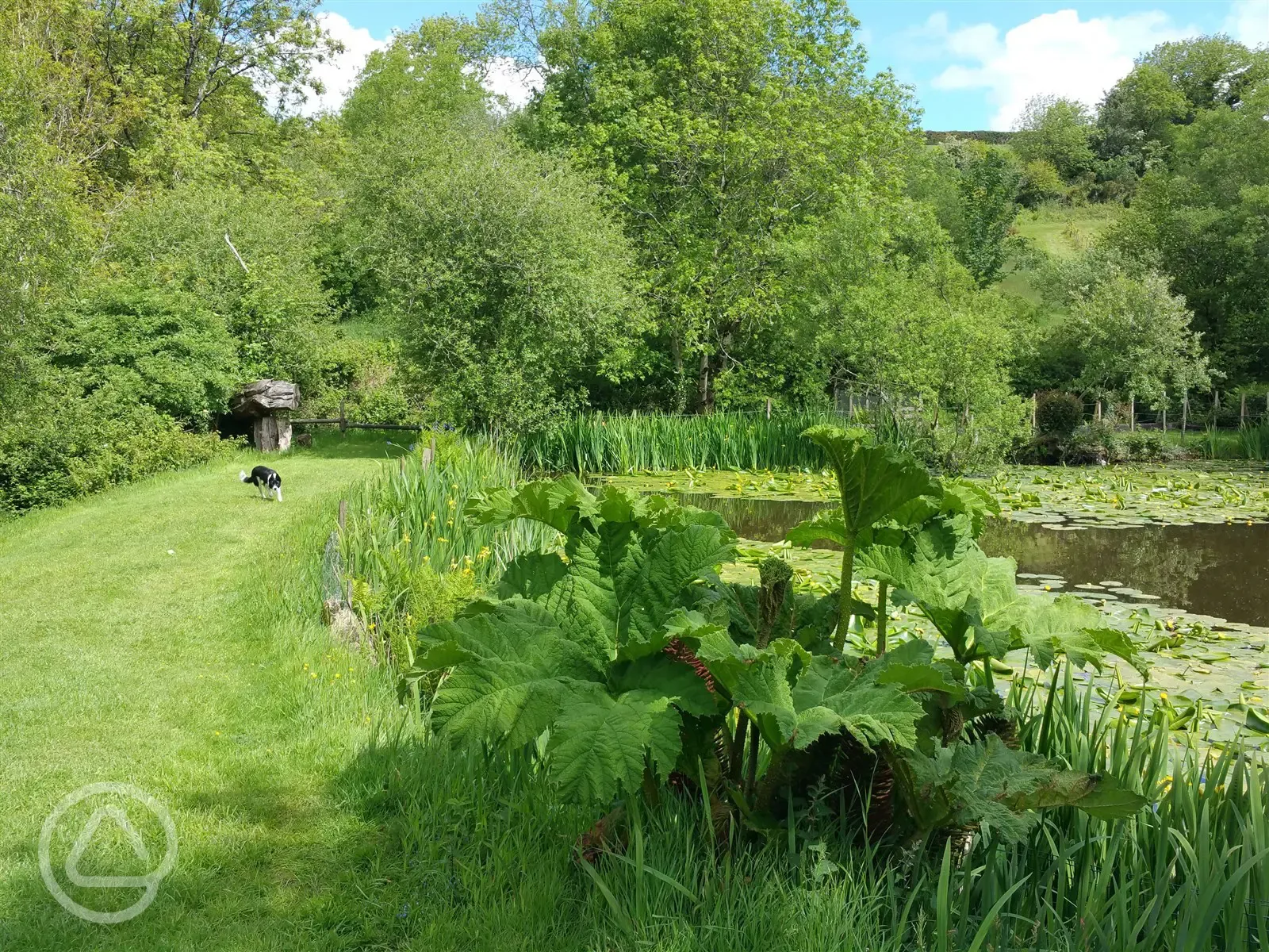 Dolbryn Fishing Lake