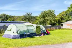 Electric grass pitches (quiet area)