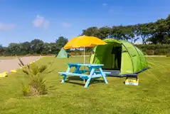 Pre erected tent for hire (dog friendly)