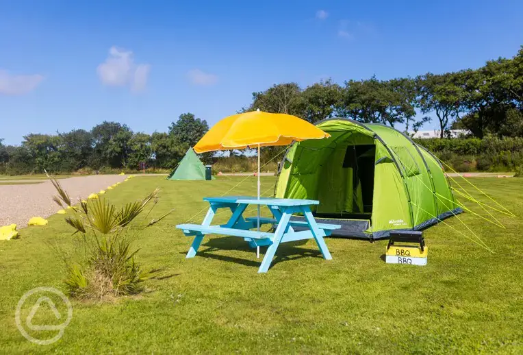 Pre erected tent for hire (dog friendly)