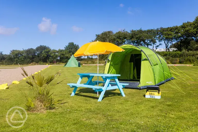 Pre erected tent for hire (dog friendly)