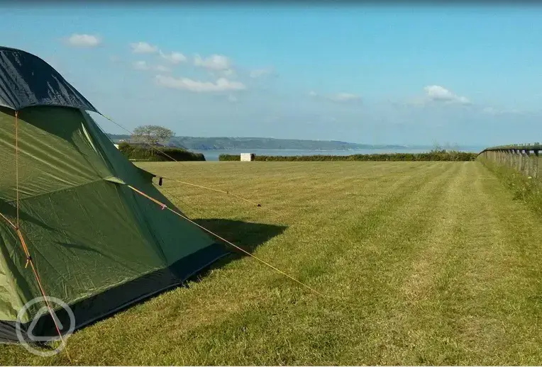 Tenby Field - Camping Field.