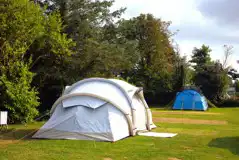 Medium electric grass tent pitches