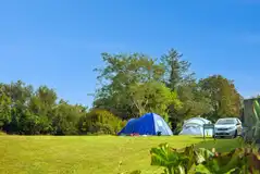 Medium electric grass tent pitches measuring 6m x 7m with 10 amp electric