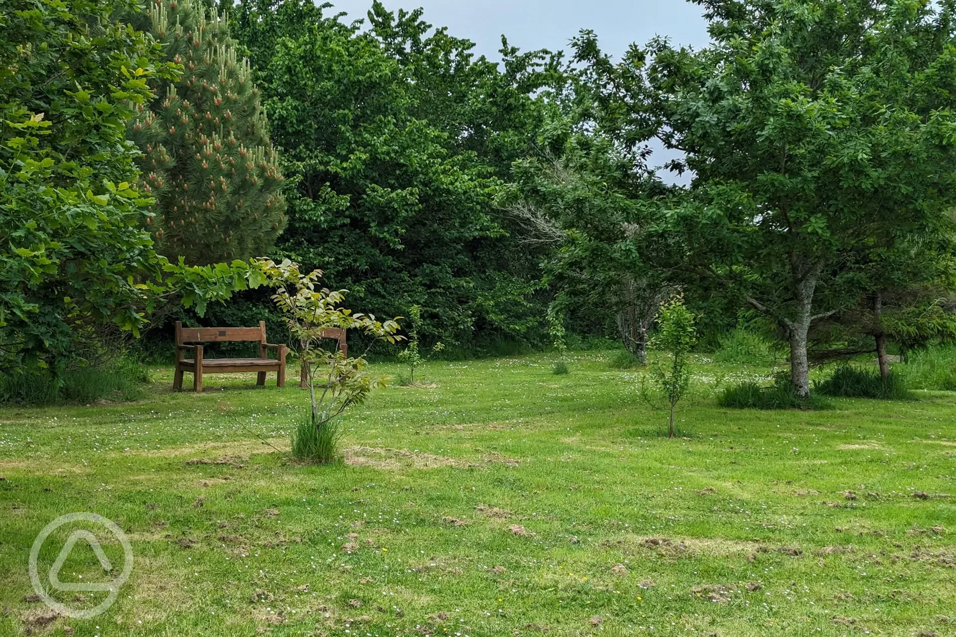 Natural garden area