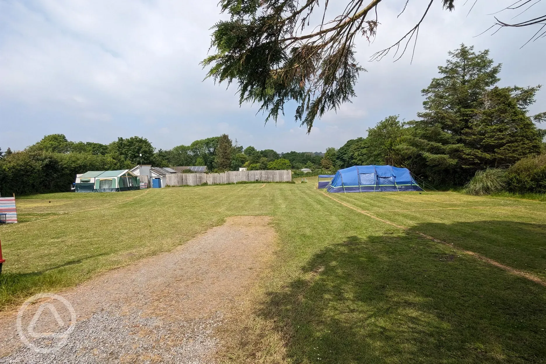 Electric grass tent pitches