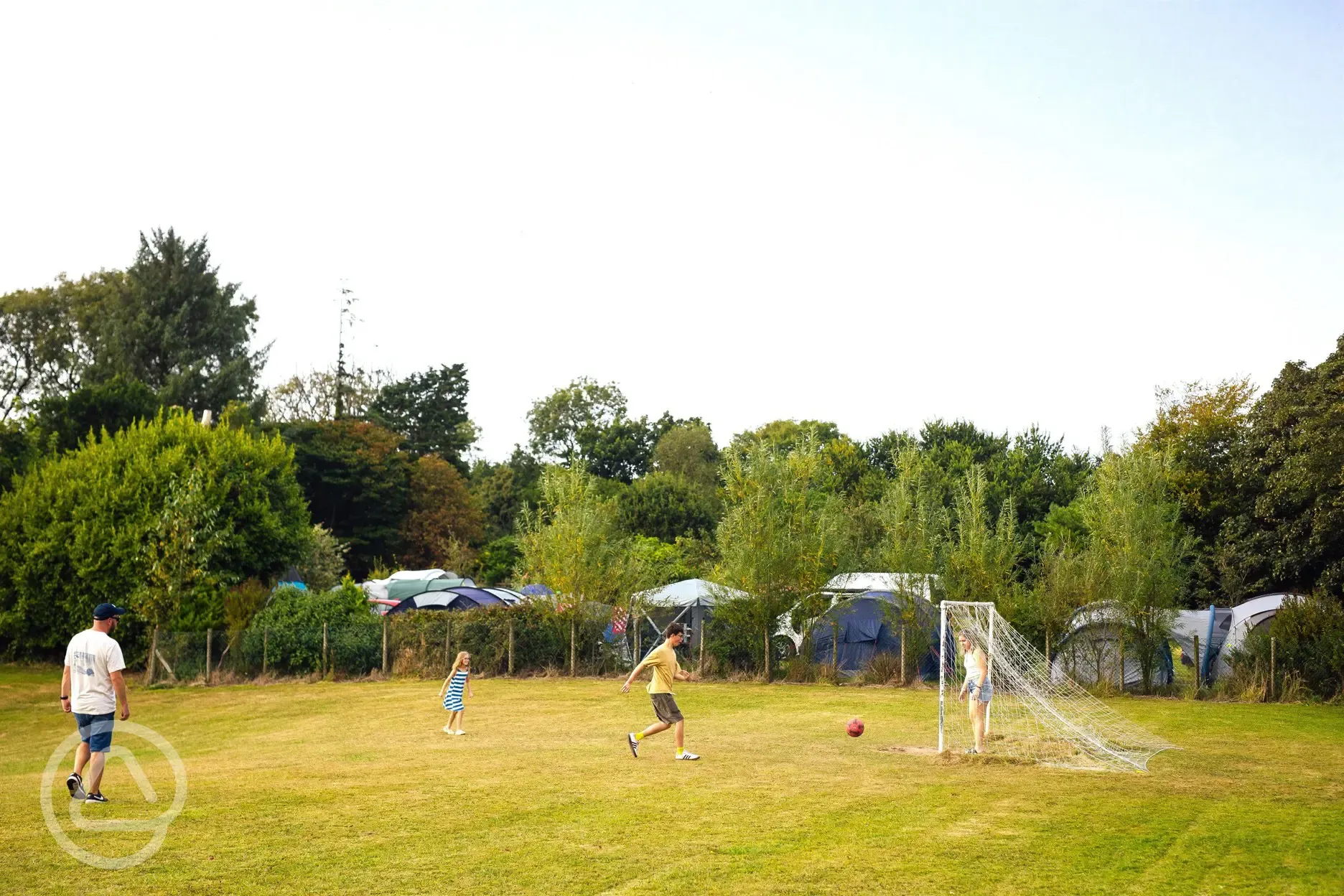 Playing field