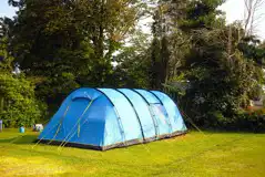 Large electric grass tent pitches measuring 8m x 9m with 10 amp electric