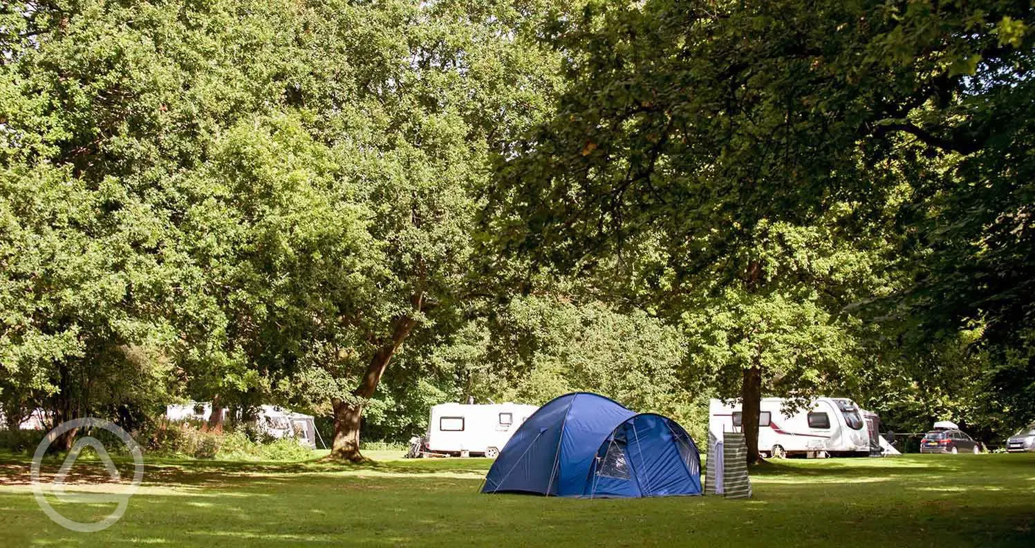 Non electric grass pitches