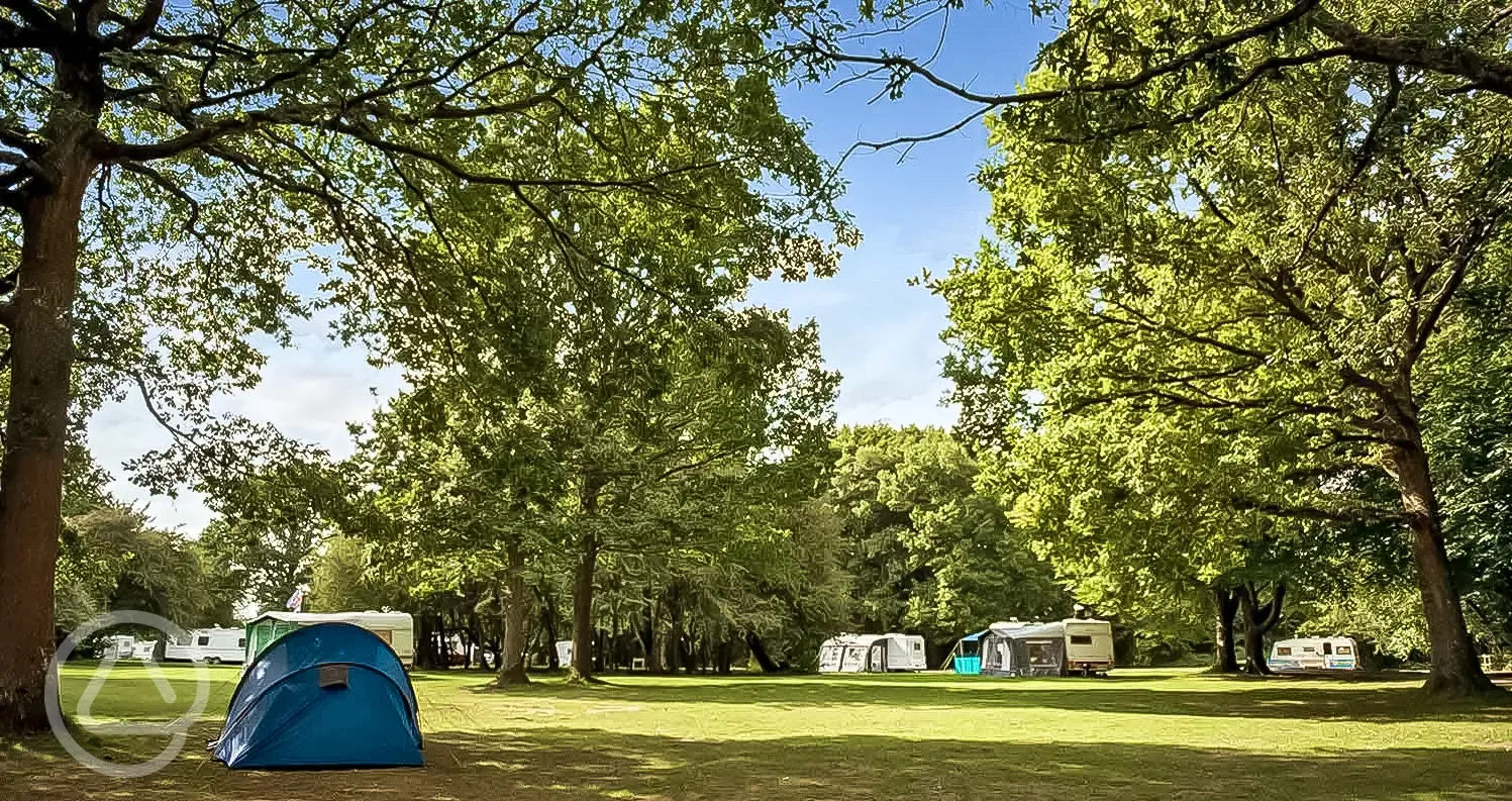 Non electric grass pitches