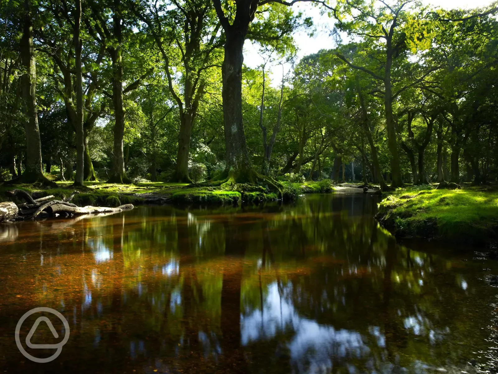 Stream running along the site