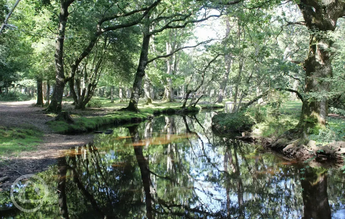 Stream running along the site