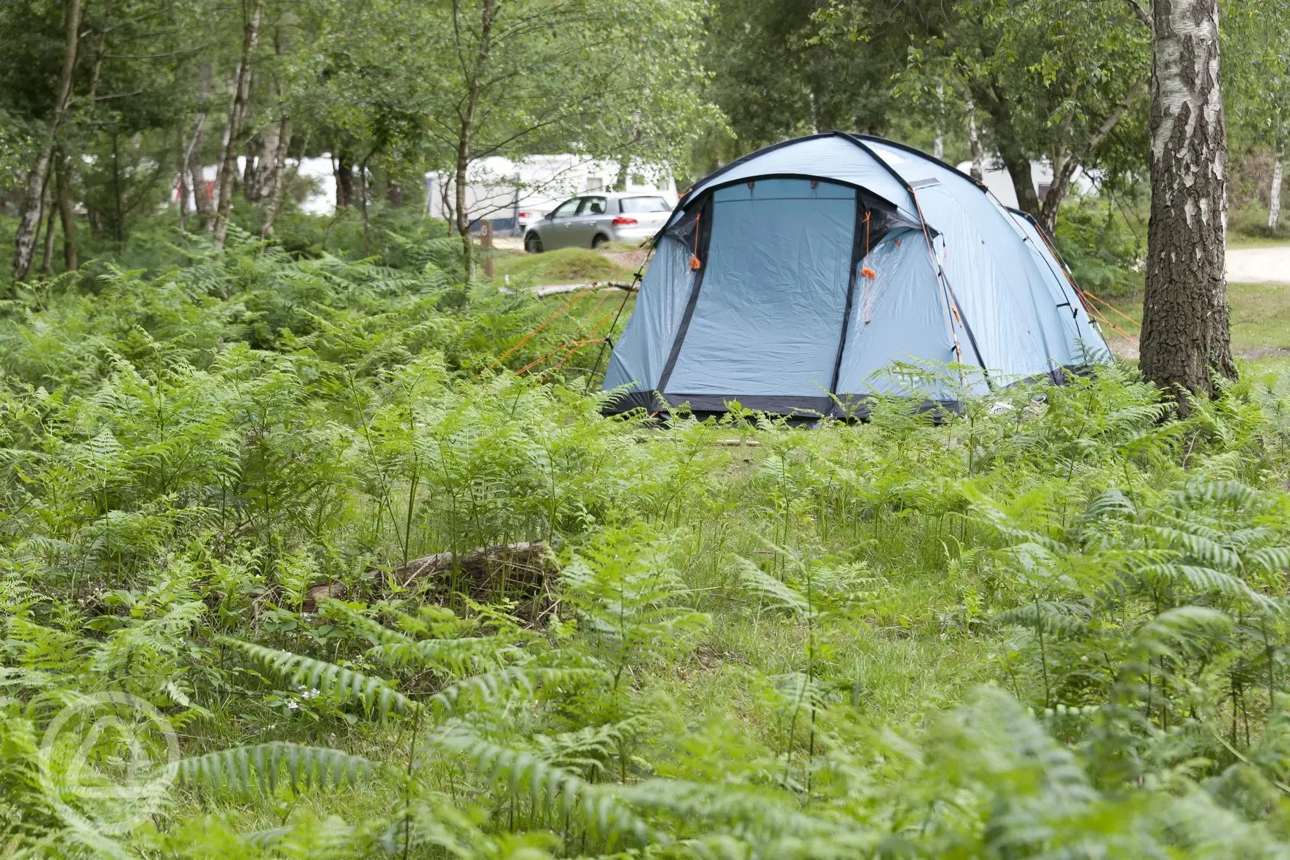 Non electric grass pitches