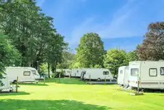 Electric hardstanding touring pitches (7.9m x 2.4m)