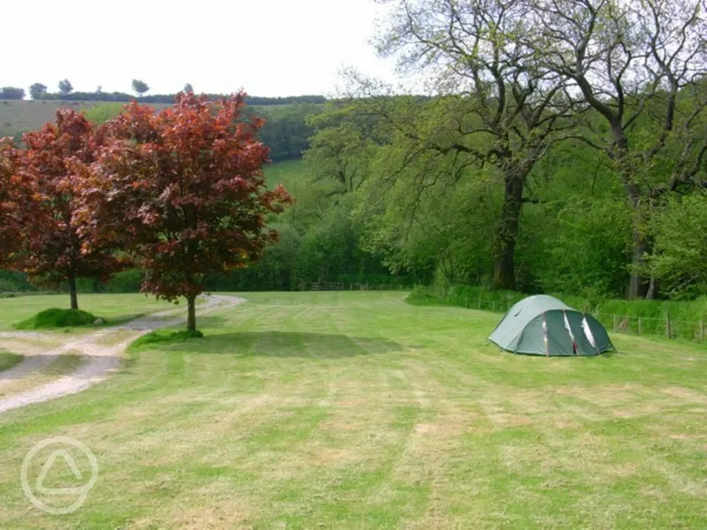 Tent on the field at Westermill Farm