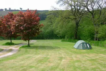 Tent on the field at Westermill Farm