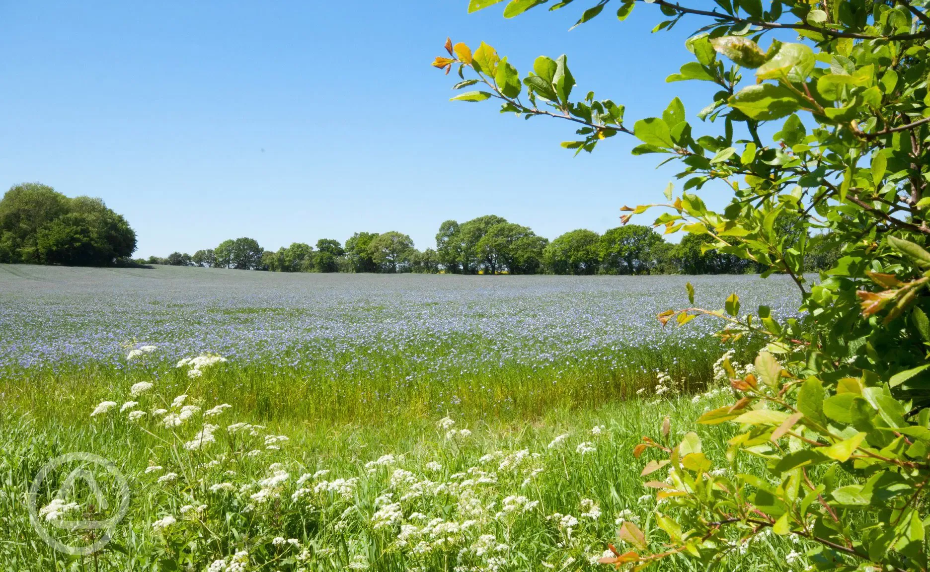 Countryside views