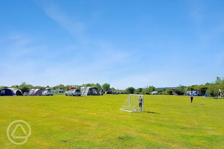 Non electric grass pitches and playing field