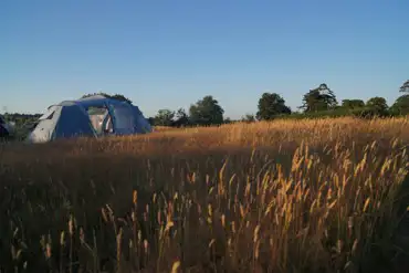 Tent camping at Rother Valley Caravan Park