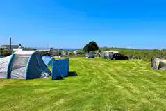 Electric grass pitches at Roselands Caravan and Camping Park