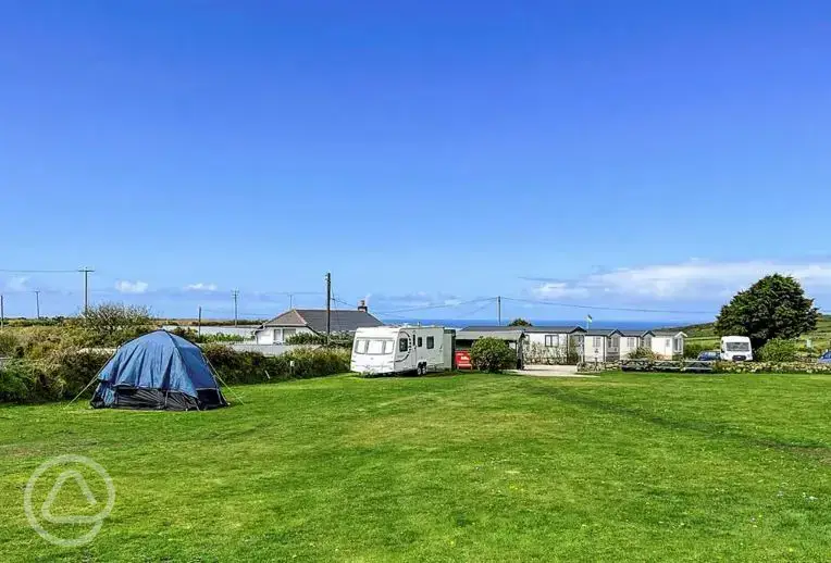 Electric grass pitches